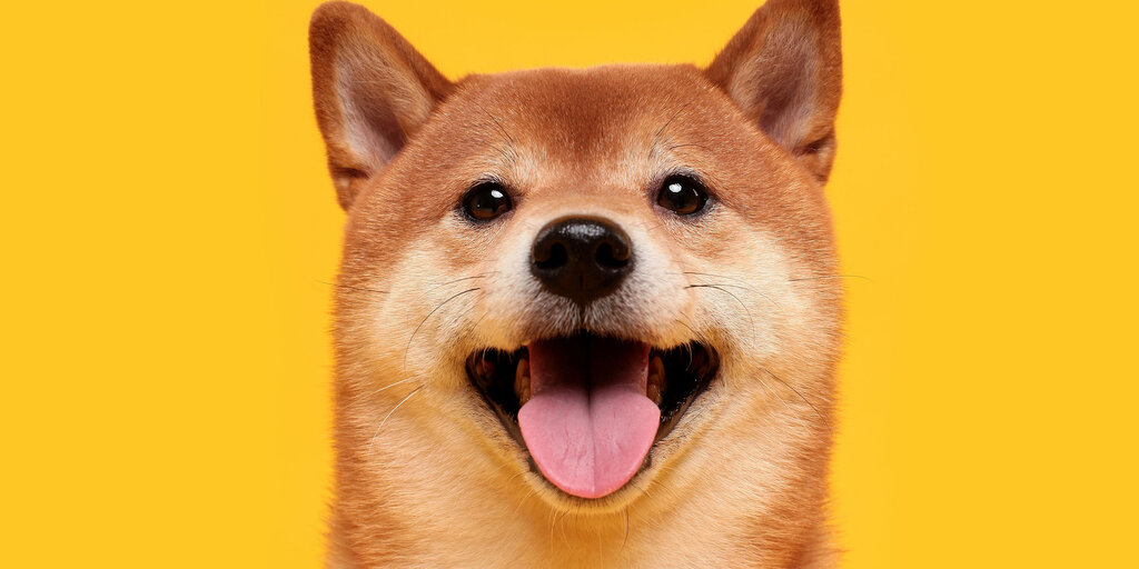 Dogecoin Price Jumps to Weekly High After Bitcoin Smashes $100K Milestone
