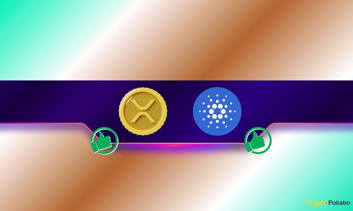 Here Are The Next Targets