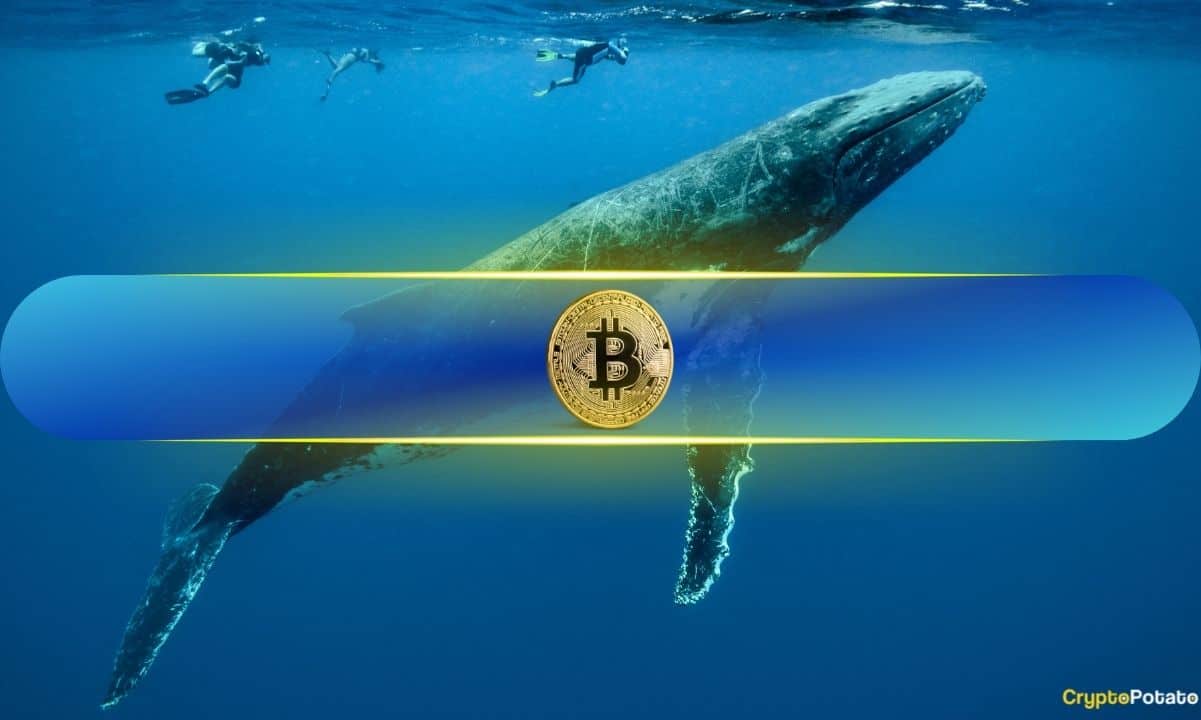 Bitcoin to $121K Next Week? Mega Whale Wynn Bet $1.25B on It