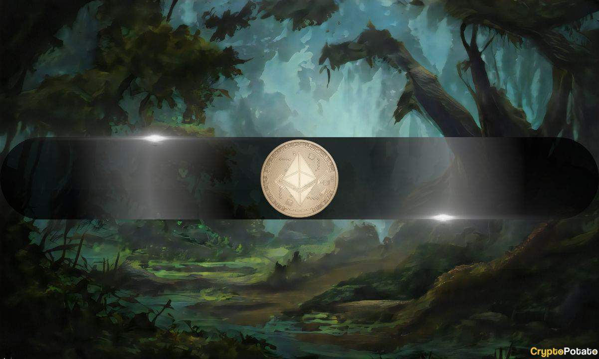 Mounting Evidence of Ethereum’s Struggles: Volatility, ETF Losses, Weak Demand