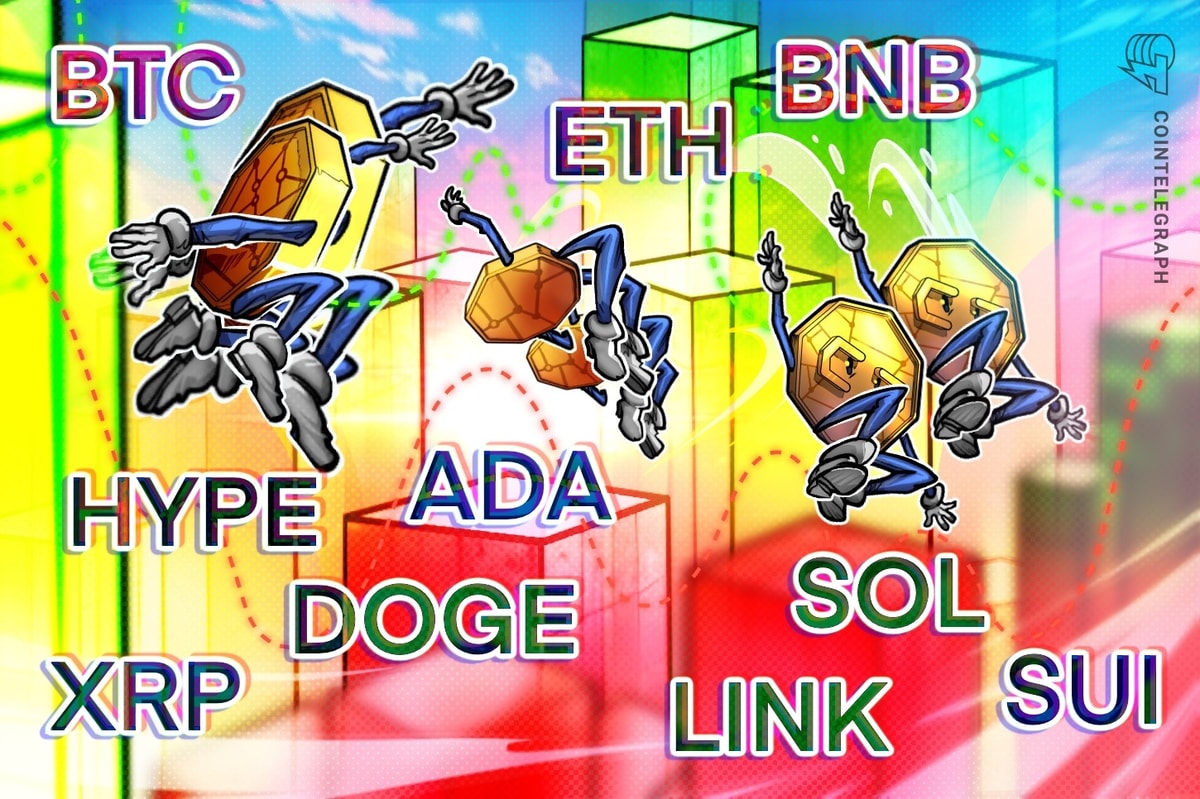 BTC, ETH, XRP, BNB, SOL, DOGE, ADA, HYPE, SUI, LINK