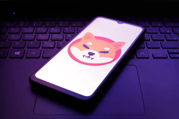 Shiba Inu Open Interest Crashes From $328 Million July Peak To $190 Million, What’s Going On?