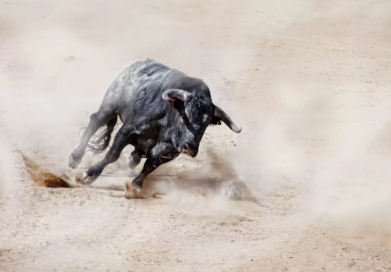 crypto