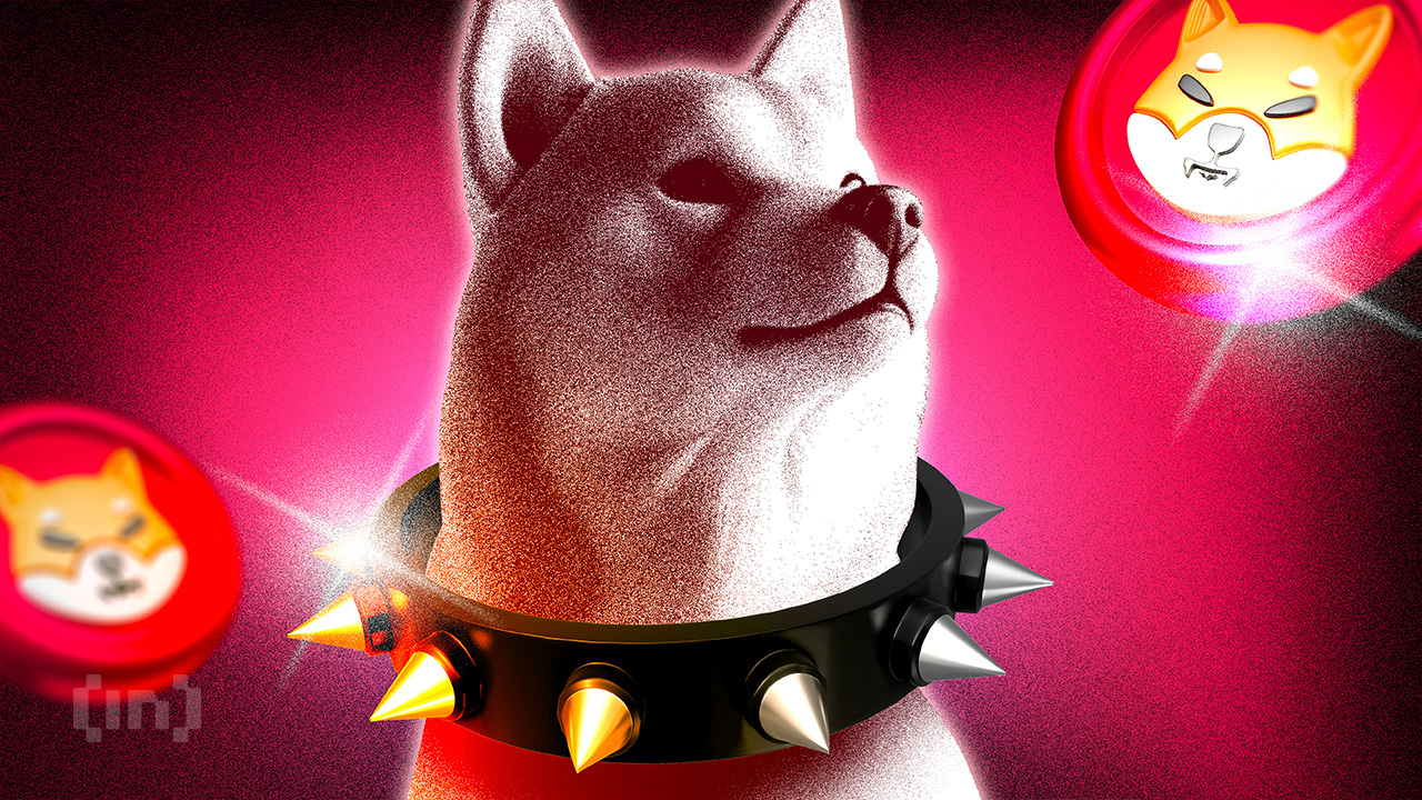 SHIB Price Gains 7%, But These Two Red Flags Puts Rally at Risk